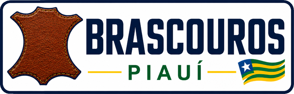 Brascouros Piauí